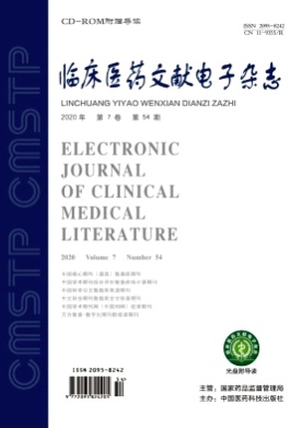 临床医药文献电子杂志杂志